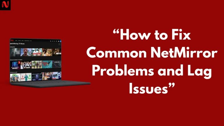 Fix Common NetMirror Problems